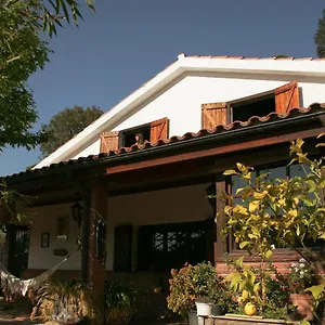 Casa Magnolia Chalet