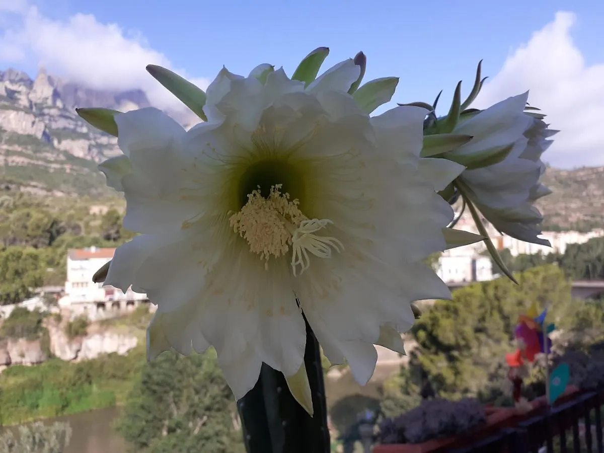 Apartamento Piso Con Desayuno Incluido Y Vistas A La Montana. Monistrol de Montserrat España
